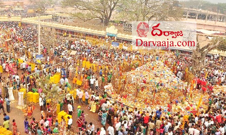 medaram-jathara మేడారం జాతరకు వేళాయరా..!