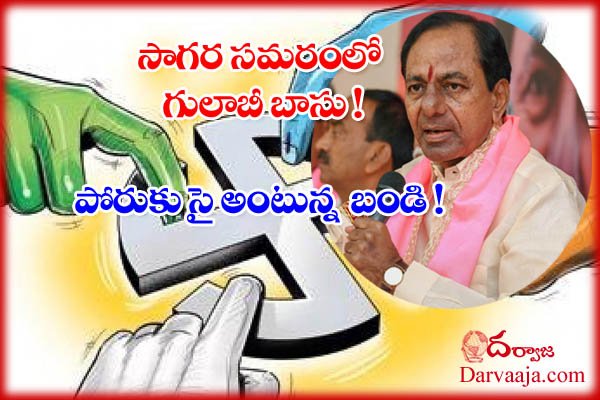 Nagarjuna Sagar Assembly By Election _ Telangana