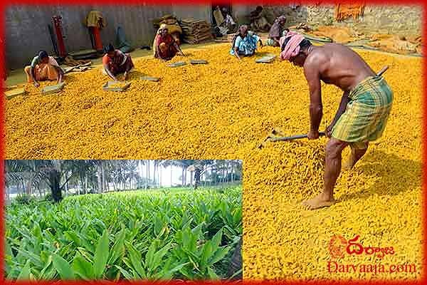 Nizamabad-Turmeric-farmers-set-deadline-to-MP-Arvind-to-resign-1 ఎంపీ అరవింద్ కు కేంద్రంతో కొట్లాడే దమ్ముందా?