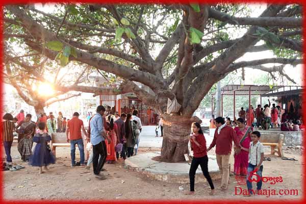 shadnagar-chetla-mukundh1 శివ నామ స్మరణలో ఆలయాలు