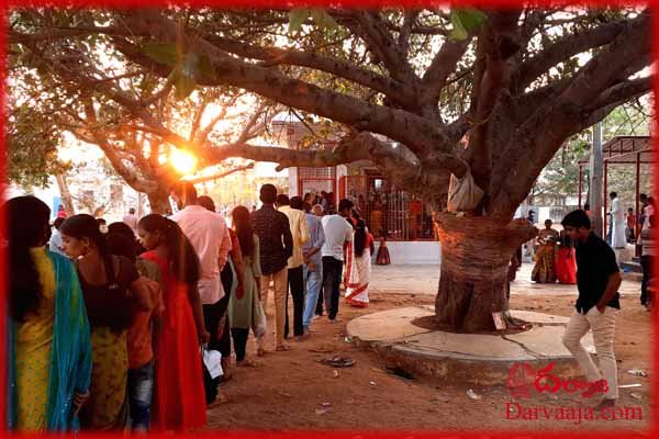 shadnagar-chetla-mukundh2 శివ నామ స్మరణలో ఆలయాలు