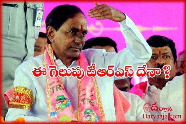 telangana mlc election results special story