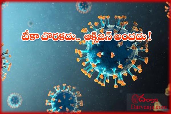 coronavirus india