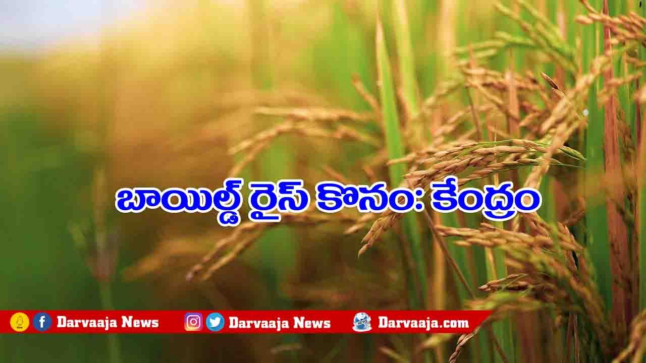 paddy procurement