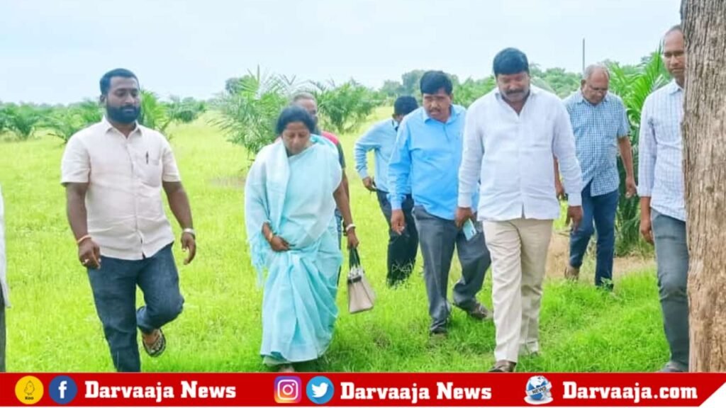 nangnoor-4-1024x576 ఆయిల్ ఫామ్ సాగు ప్రయోజనకరం: జిల్లా ఉద్యాన, పట్టు పరిశ్రమ శాఖ అధికారిణి
