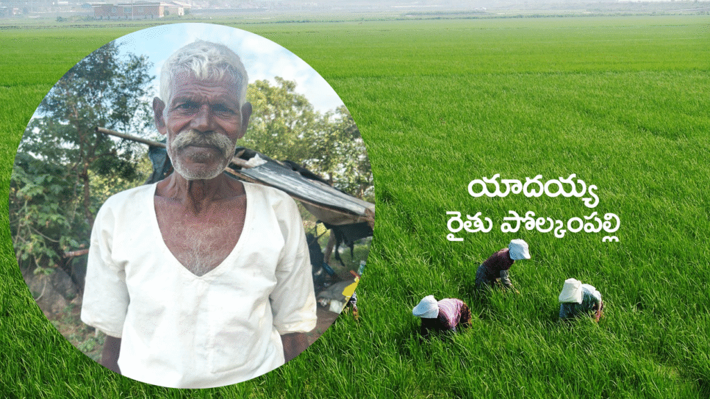 Yadaiah-1024x576 rythu bharosa: "భరోసా" బంద్.. అర్బన్ మండలాల్లో అగ్రికల్చర్ లేదట..!